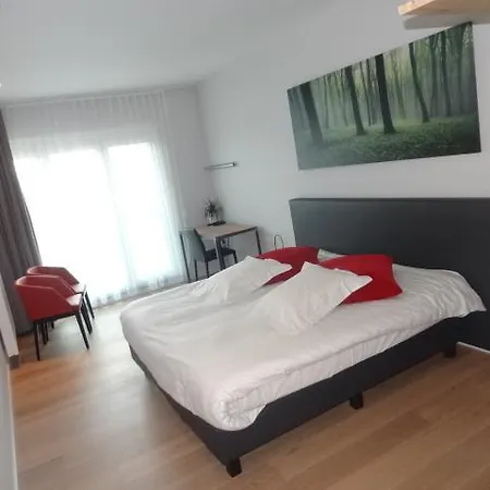 Kasteelhof 't Hooghe מלון 3*